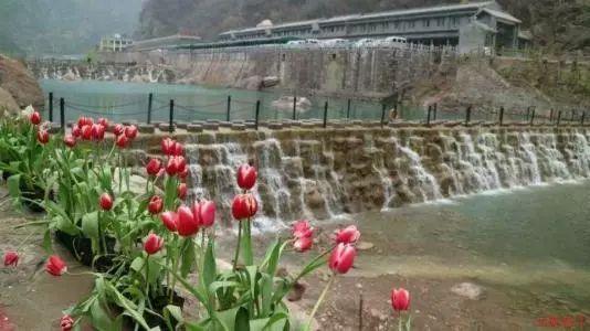 两个字伤感网名