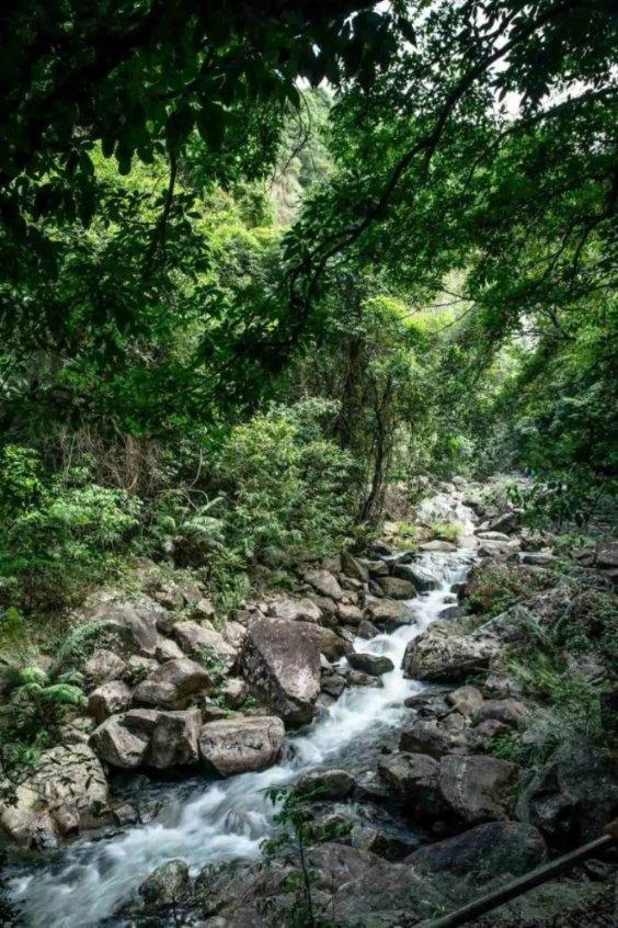逃出郊外露营地