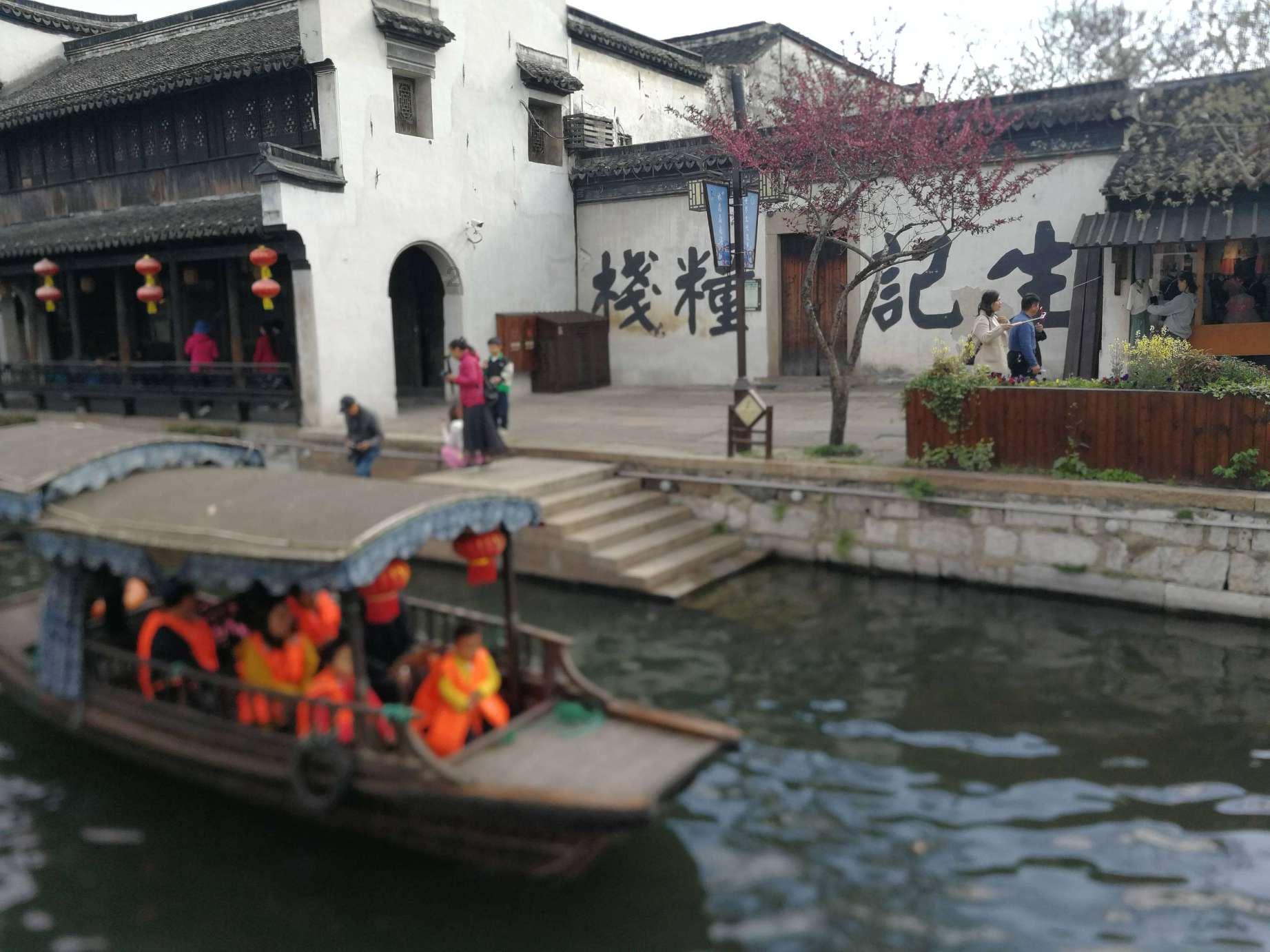 救援小蝙蝠